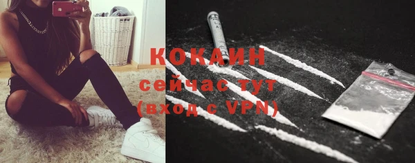 стафф Протвино